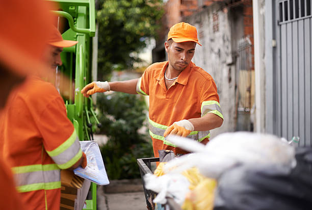 Yard Cleanup Services in Kings Mills, OH